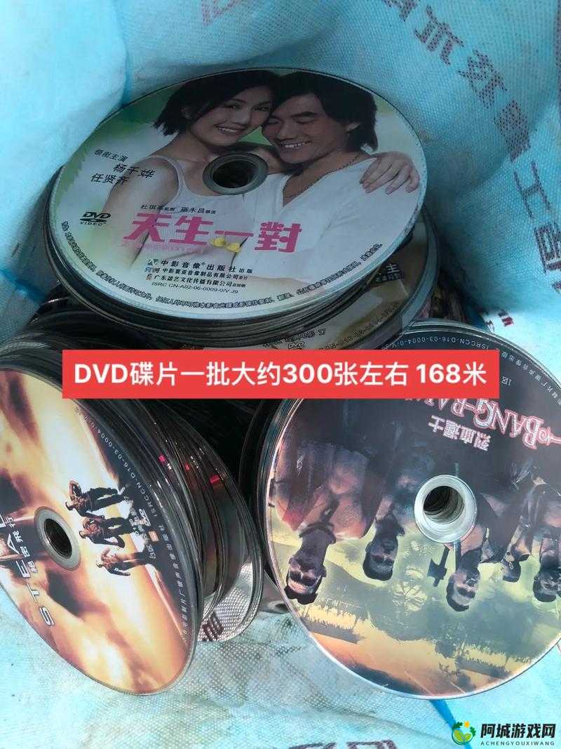 探寻高清 DVD 碟片生活片：揭开未知的面纱