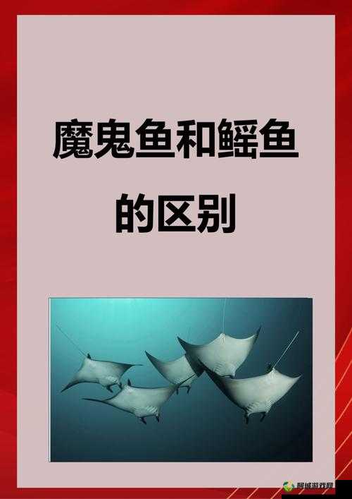 冰原守卫者中箱子与柜子的显著区别详细解析