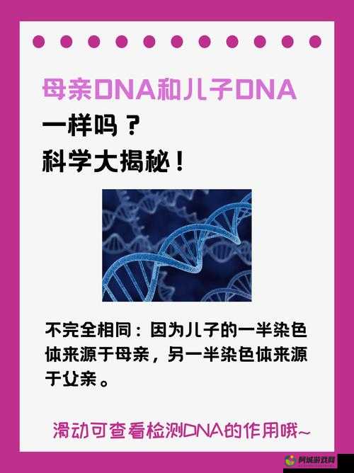 母亲和儿子的 DNA 一样吗：亲子关系的奥秘