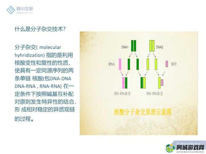 DNA 非特异性杂交的应用及发展