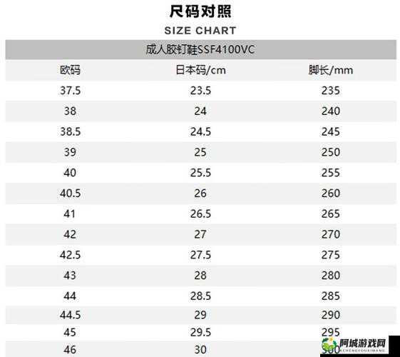 欧洲尺码日本尺码专线发布：全新开启