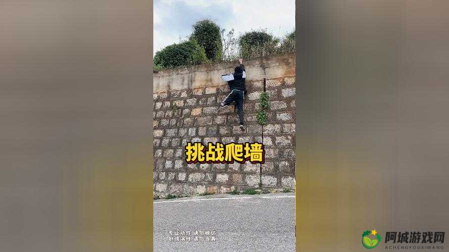 史小坑爬墙挑战爆笑生活第12季第17关攻略大全：揭秘爬墙通关秘籍