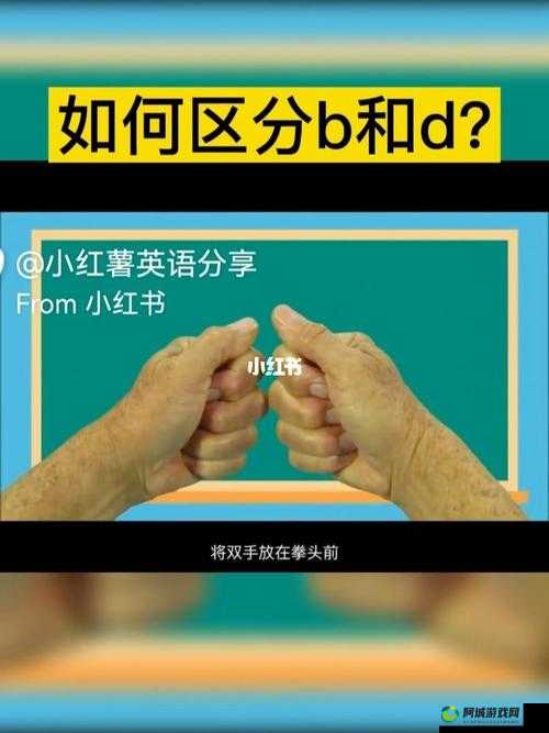 B 和 B 为什么不一样：原因解析