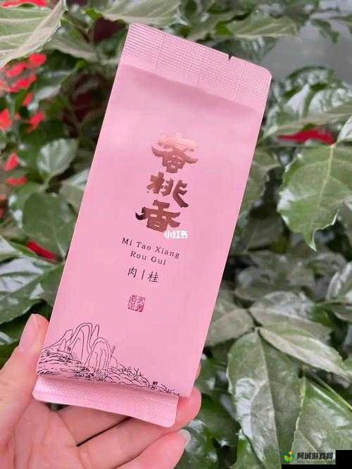 水帘洞肉桂蜜桃香：品味独特的茶香果香