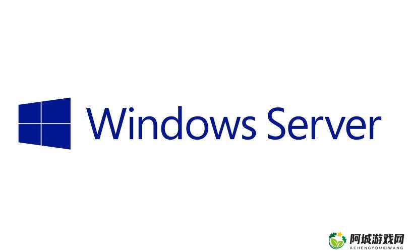 日本 windowsserver：操作系统的经典之选