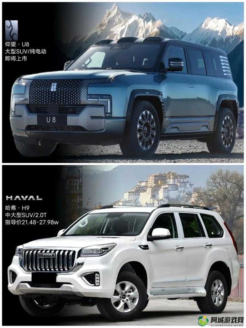 国产 SUV 精品一区二区 6 有什么特点：深度解析