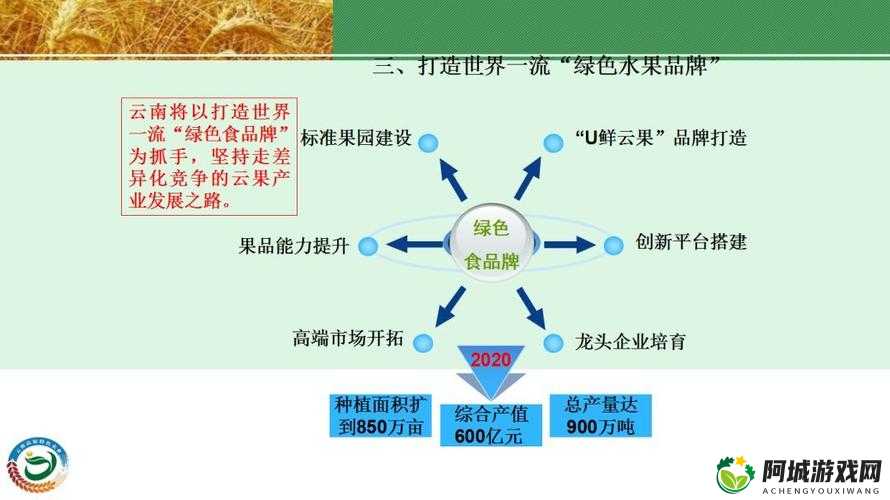 一线产区和二线产区的知名品牌因付费问题被直接点名：深度解析