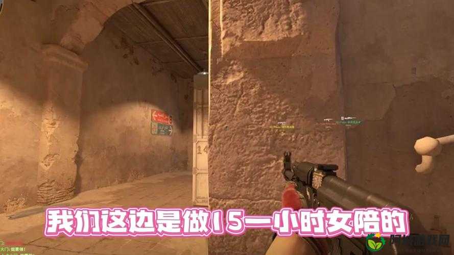 俄罗斯女 CSGO：电竞界的璀璨之星