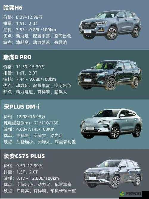 欧洲版国产 SUV：高品质之选