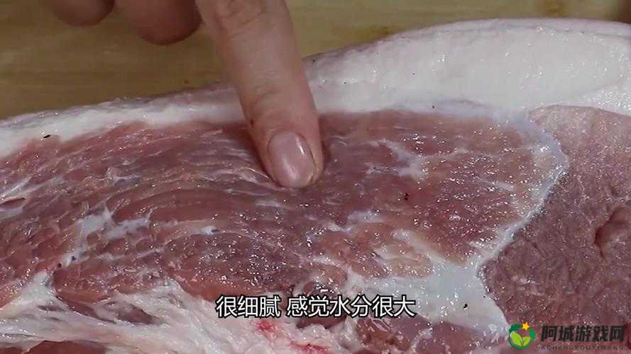 探索放置江湖经验的奥秘：它究竟有何用？