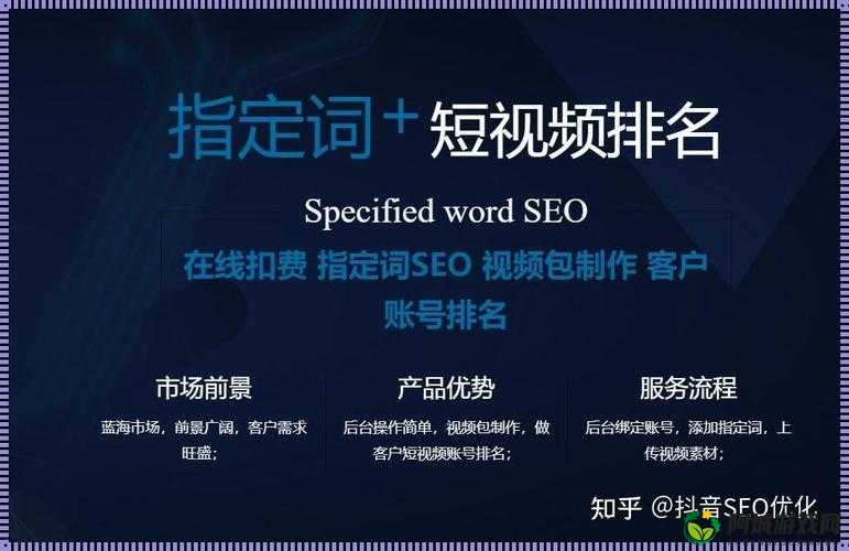 seo 短视频网页入口引流：抓住流量密码